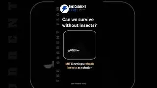 Swarm Robotics: Why MIT's Insect Drones Will Change Society Forever