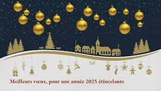 Carte de v&oelig;ux f&eacute;&eacute;rie nouvel an 2025 (ST51) - Vid&eacute;ostorytelling by N&eacute;ologis