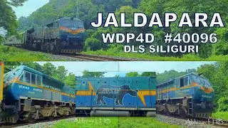 'JALDAPARA' named SGUJ WDP4D 40096 Rail Engine featuring Jaldapara National Park | VIVEK EXPRESS