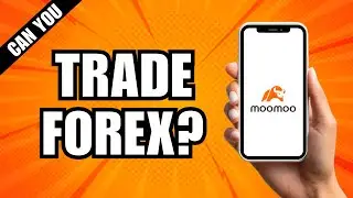Can You Trade Forex On Moomoo