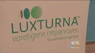 FDA Accepts Application For Possible First Gene Therapy for Genetic Disease In US