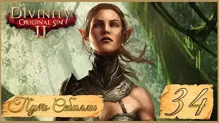 Divinity: Original Sin II ★ 34: Пропавшие магистры.