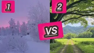 &ldquo;Winter vs Spring vs Summer vs Autumn &ndash; Which Season Wins?&rdquo; 1 VS 2? #vs #vschallenge #seasons