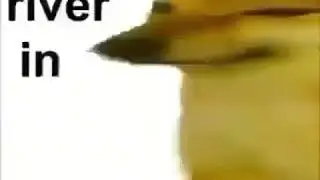 TOP TIER MEME 2020
