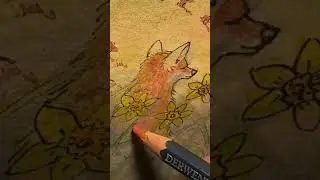 How to paint fox with #watercolor #pencils #shorts #painting #susanalisonart #watercolorpencils