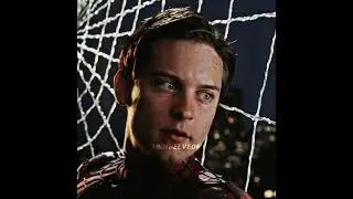 Spider-Man (Tobey Maguire) | The Hills
