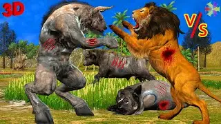 Woolly Lion Vs Giant Buffalo Epic Battle🙄Minotaur Attack Lion