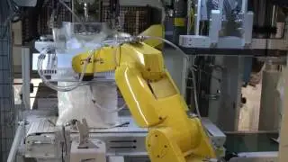Robotic Open-Mouth Bagging Machine (PTR-1030 Series)