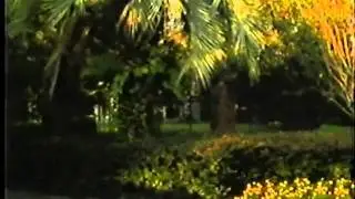 ''WORDS OF WISDOM.'' BY RANDY ELLISON JR. - YouTube.flv