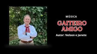Gaiteiro amigo - Domingos Denti | Músicas