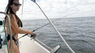 VOLTANDO COM AS PESCARIAS, BALNEÁRIO PIÇARRAS.