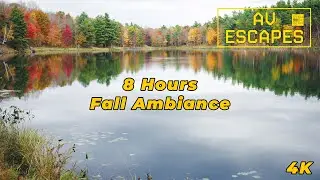 8 Hour Fall Ambiance | Frontenac Provincial Park Ontario | Nature Sounds