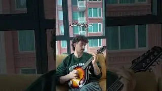 Day 11 of learning the mandolin @Mashrou3Leila #فساتين #lebanese #indiemusic #mandolin #cover
