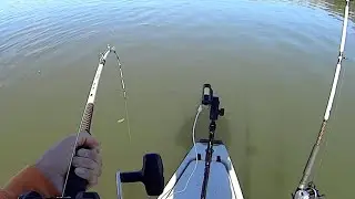 Timing is Everything In Fishing