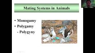 Autecology