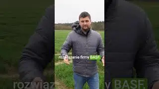 Jaki fungicyd wybrać na zabieg T1? #zabiegt1 #ochronazb&oacute;ż #basfagro