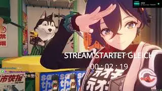 Entspannter Hoyo-Stream: ZZZ und G&auml;hnshin mit Dokomi-Vorfreude