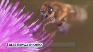 Ohio State mobile laboratory is a new field trip