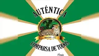 Auténtica Comparsa de Todos | Samba Enredo 2020