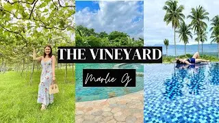 The Vineyard at Tanauan