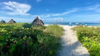 Robb's Sunday Walking Tour of LowdermilK Beach Park in Naples, FL 09.19.21