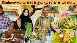 🛑நூற்றுக்கணக்கான மூலிகை உணவுகள் | Madurai-யை கலக்கும் மூலிகை பாண்டி⁉️ @sheerusdining