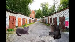 Приключения Беляша 12 (Часть 2-full screen)