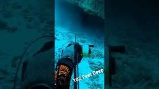 Crazy Deep Dive! (102Ft) 🤯🤯 Freediving Spearfishing! #spearfishing