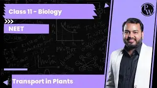 Passive absorption of water by the root system, is the result of: \...