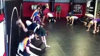 MMA / Cardio classes in Northampton, Ma.- Team Link - FREE TRIALS AVAILABLE