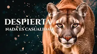 Nada Es Casualidad Descubre Por Qué Estás Aquí