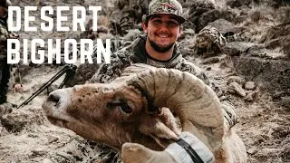 California Desert Bighorn Sheep Hunt