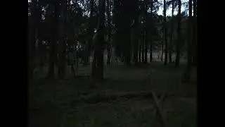 🖤 𝒃𝒍𝒂𝒄𝒌 𝒆𝒚𝒆 𝒄𝒐𝒍𝒐𝒖𝒓