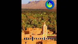 16 ماي 2023