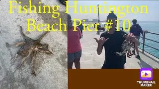 I LOST MY CRAB TRAP IN ONE DAY!!| Fishing Huntington Beach Pier #10