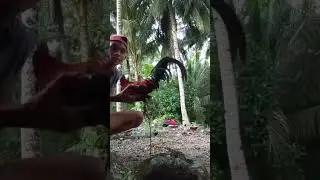 khevin adventure is live!  magandang hapon mga ka hunter