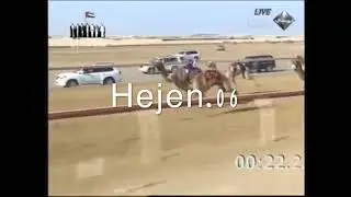 مخايل لـ حسن بن محمد الصعاق حالياً الكايدة لـ هجن الشحانية المضمر محمد بن خالد العطية
