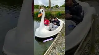Paddle boat 🤩 #shorts #viralshorts #ytshorts #fyp #themepark
