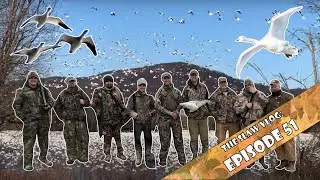 The Slaw Vlog: ep 51: Guided through Greater Snow Goose Hunting (A QUARTER MILLION GEESE!!!!!)