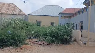 Dhul iib ah, Xaafada ibraahin afgoye, Degmada Daarusalaam, Cabirka 20×15, +252610482060 WhatsApp