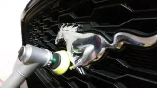 Ford Mustang kenzo ceramic paint protection by Adelaide Automotive Paint Protection.