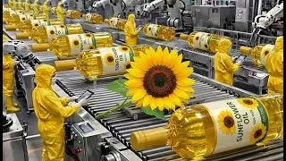 Inside the World&rsquo;s Largest Sunflower Oil Factory | From Sunflower Seeds to Pure Oil (Full Process)