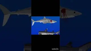Reef Shark vs Mako Shark vs Hammerhead shark