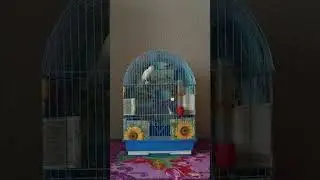КЕНАРОК  28 12 2025