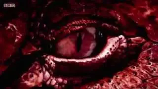 Rugby. 6 Nations Intro