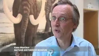 Kees Moeleker wil een mot