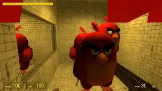 Angry Birds and the Elegant Odette Turned on Me!😭😫