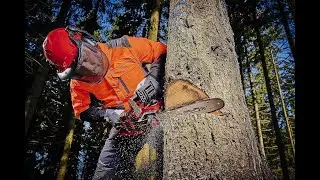 Test & Review: Einhell GP-LC 36/35 Akku-Kettens&auml;ge | Power X-Change 36 V &ndash; Professionelle Leistung