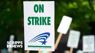 New strike study shows highest walkout rate in two decades