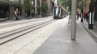 Awesome Sydney Light Rail | Tram On Road | Train | Australia